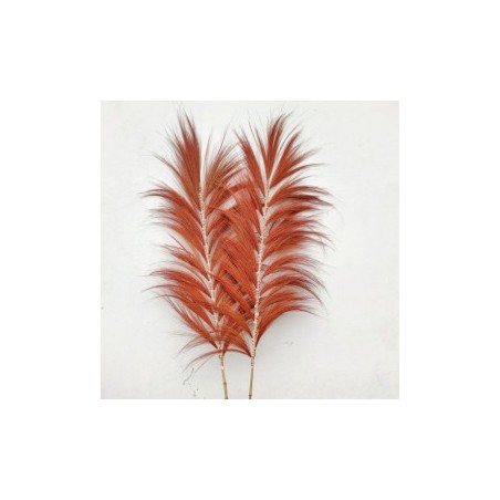 Rayung's Coral Palm - 1.6m