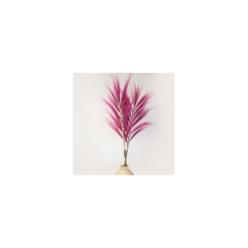 Pink Rayung Palm Tree- 1.6m-RAYUNG PALM TREE-HOSTENATURA