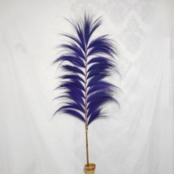 Rayung's Lavender Palm - 1.6m