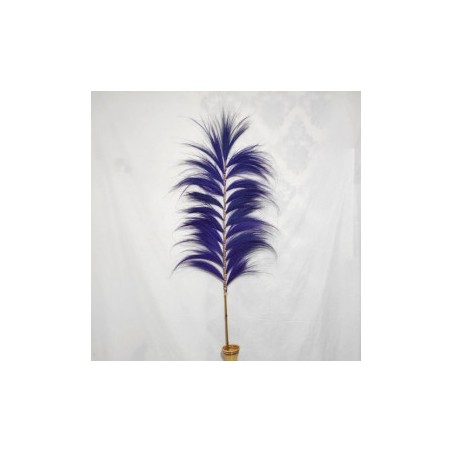 Palmeira Lavanda Rayung - 1.6m