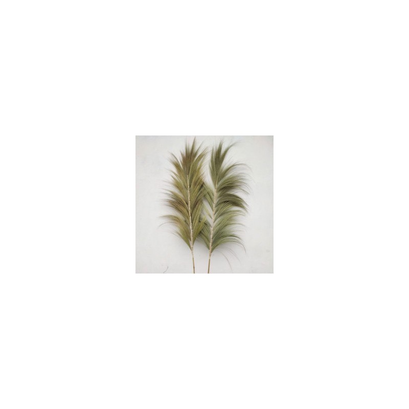 Rayung Natuurlijke Palmboom - 2m-RAYUNG-PALM-HOSTENATURA