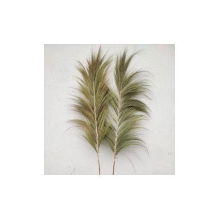 Natürliche Rayung-Palme - 2m