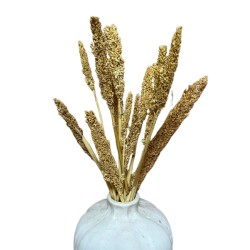 Bunch of Cantal Grass x 6- Natural