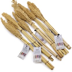 Bunch of Cantal Grass x 6- Natural