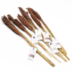 Bunch of Cantal Grass x 6 - Chocolate