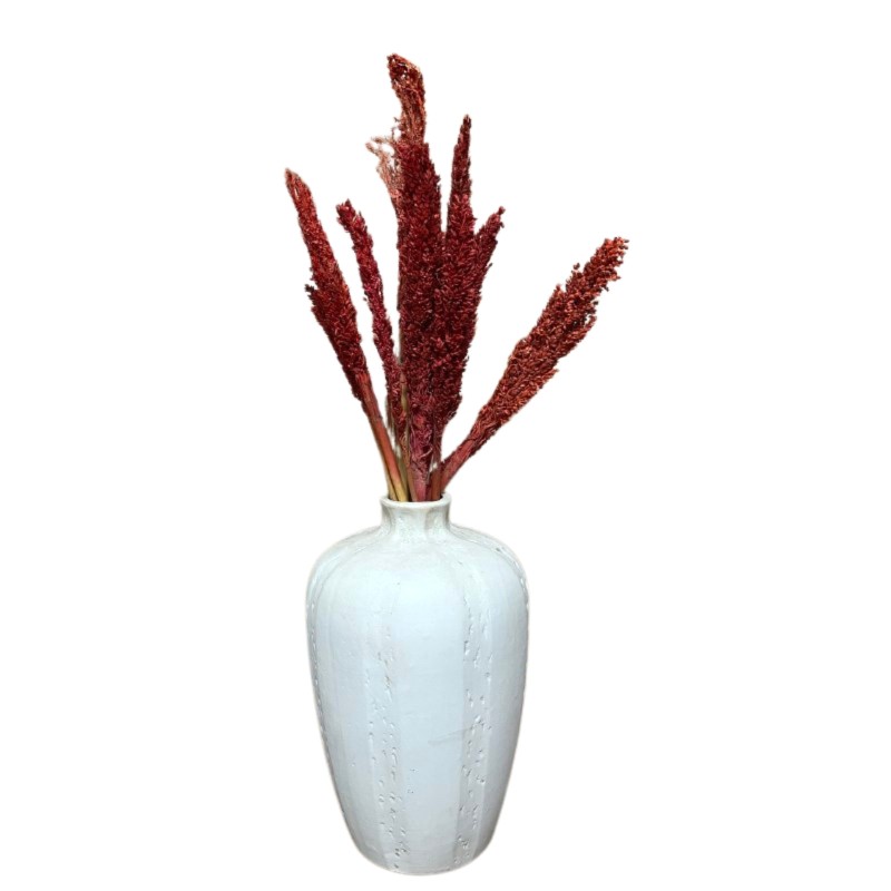 Cantal Grass Bundle x 6 - Fire-BUNCH OF CANTAL HERBS-HOSTENATURA