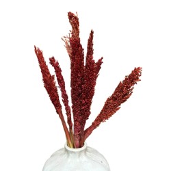 Cantal Grass Bundle x 6 - Fire