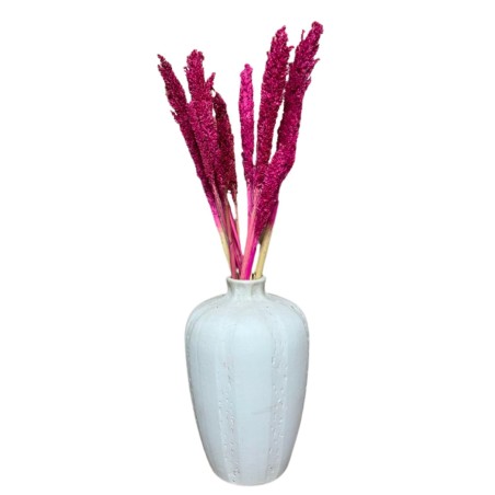 Manojo de hierba de Cantal - Rosa - 1 unidad
