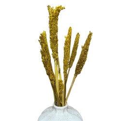 Cantal Grass Bundle - Amber