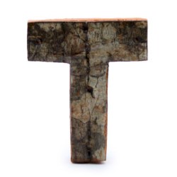 Rustic Bark Letter - "T" (12) - Small 7cm