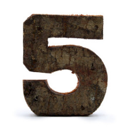 Número de corteza rústica - "5" (12) - Pequeño 7cm