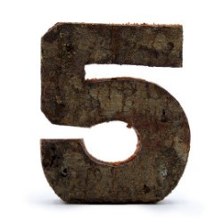 Rustic bark number - "5" (12) - Small 7cm