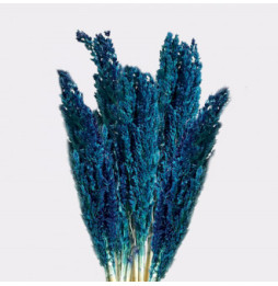 Manojo de Hierba Cantal x 6 - Azul