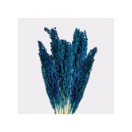Bunch of Cantal Grass x 6 - Blue