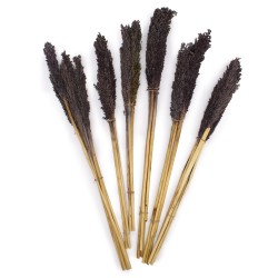 Bundle of Cantal Grass x 6 - Black