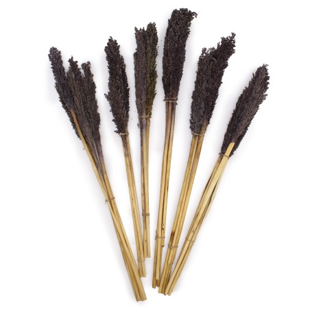 Bouquet d’herbe de cantal x 6 - Noir