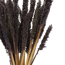 Bundle of Cantal Grass x 6 - Black