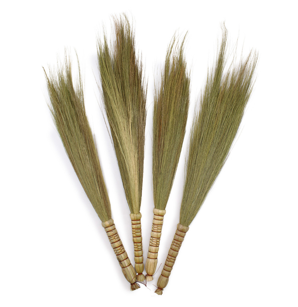 Set 4 - Escoba de Pampas - Natural-مجموعة من أعشاب بامباس-HOSTENATURA