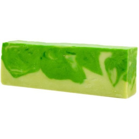 Barra de Jabón de Aloe Vera 1,25kg - Con Aceite de Oliva