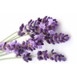 Lavanda - Albastru - Baton de aromaterapie 2Kg