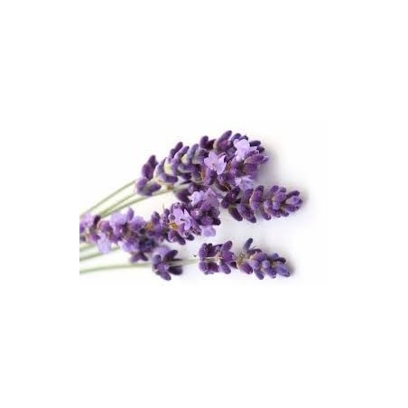 Lavanda - Albastru - Baton de aromaterapie 2Kg