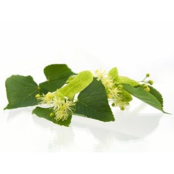 Tea Tree - Verde - Barra de Aromaterapia 2Kg