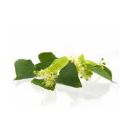 Árbole de Té - Verde - Aromaterapia Barra 2Kg