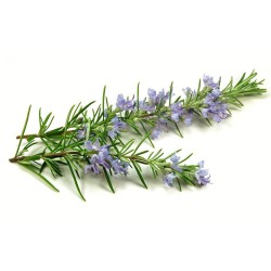 Rosemary - Rose - Aromatherapy Bar 2Kg