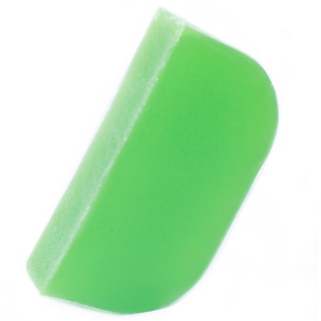 Champú Sólido - Tomillo y Menta con aceite de Argán - 1,5kg