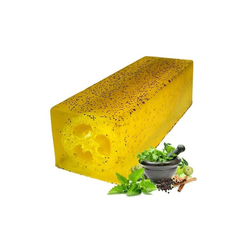 Exfoliation and Massage of Mint-MASSAGER AND EXFOLIATING LUFFA SOAPS-HOSTENATURA