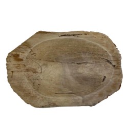 Petrified Brown Soap Dish