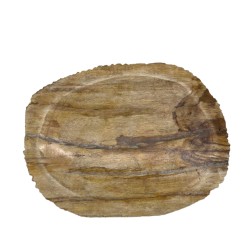 Petrified Brown Soap Dish