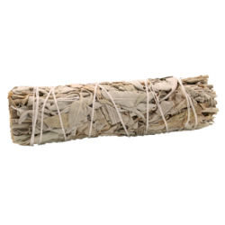 Herb Stick - White Sage 10cm