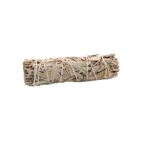 Herb Stick - White Sage 10cm