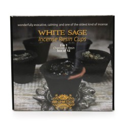 Box of 12 incense resin glasses - white sage