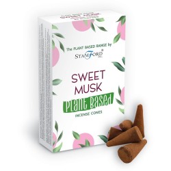 Plant-Based Incense Cones - Sweet Musk