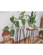 WOODEN PLANT STAND