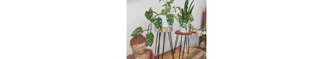 WOODEN PLANTS SUPPORT