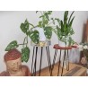 WOODEN PLANT STAND