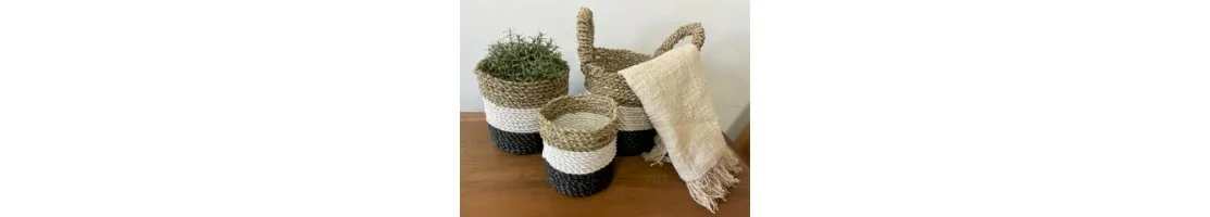 CONJUNTO DE CESTA DE ALGAS