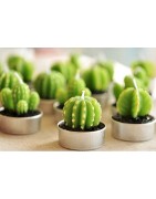 CACTUS SHAPE CANDLES