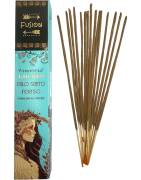 Incienso Golden Fusión Palo Santo Vijayshree - HOSTENATURA
